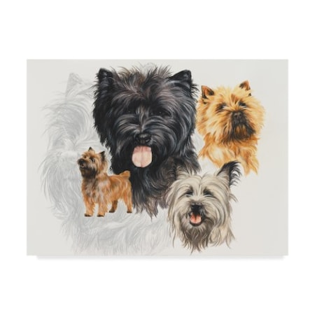 Barbara Keith 'Cairn Terrier' Canvas Art,18x24